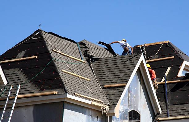 Best Gutter Installation and Roofing  in Langley Park, MD