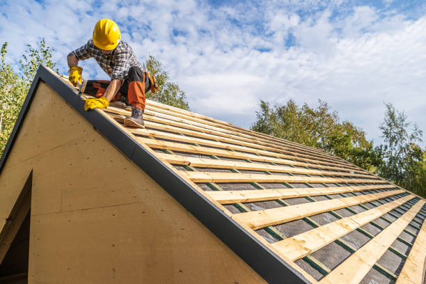 Best Shingle Roofing Installation  in Langley Park, MD